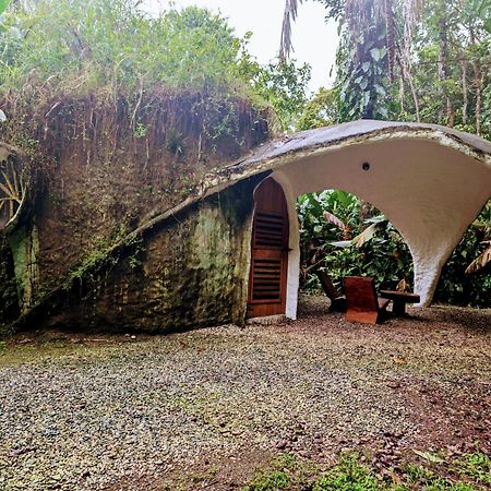 Danta Corcovado Lodge Rincón Esterno foto