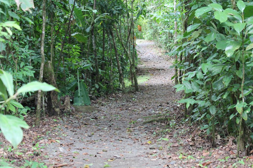 Danta Corcovado Lodge Rincón Esterno foto