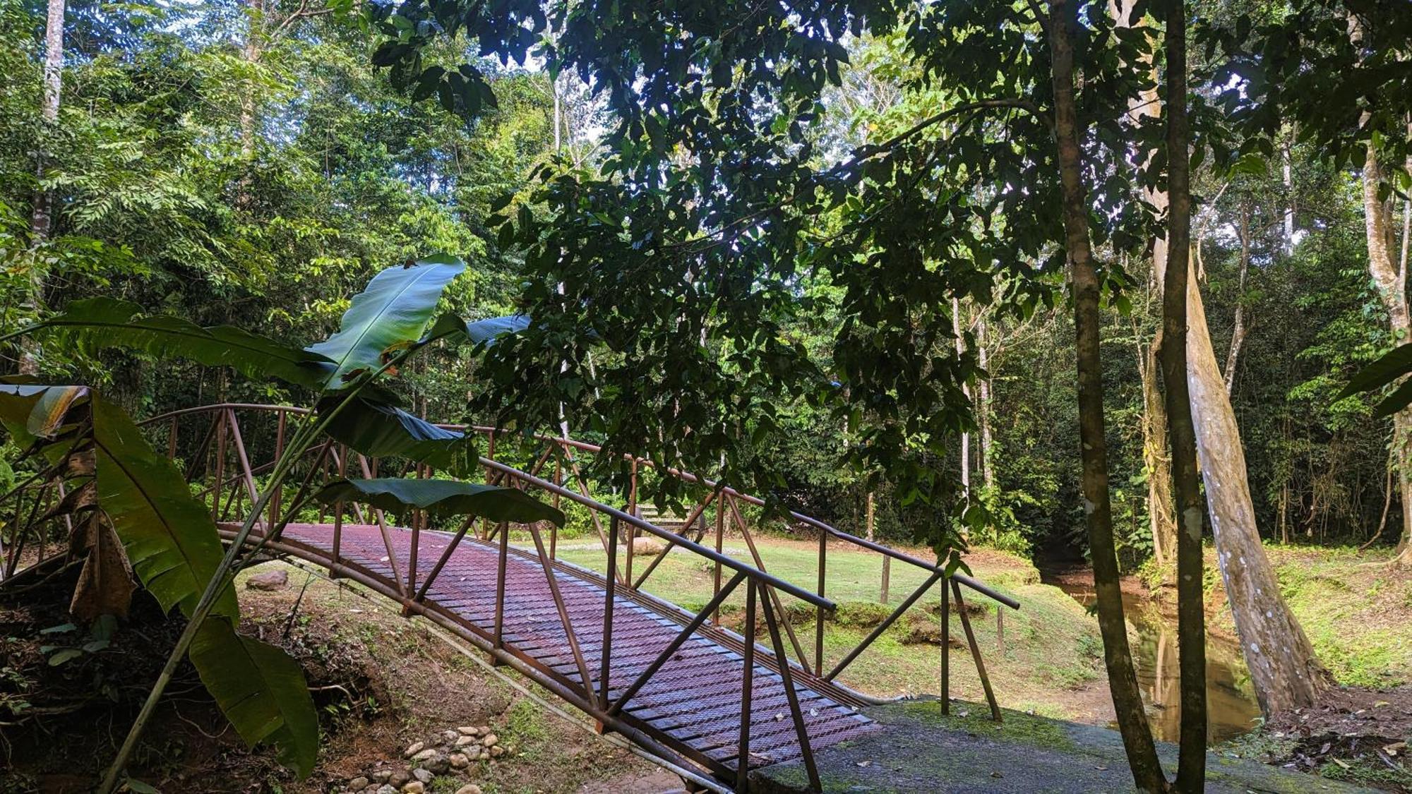Danta Corcovado Lodge Rincón Esterno foto