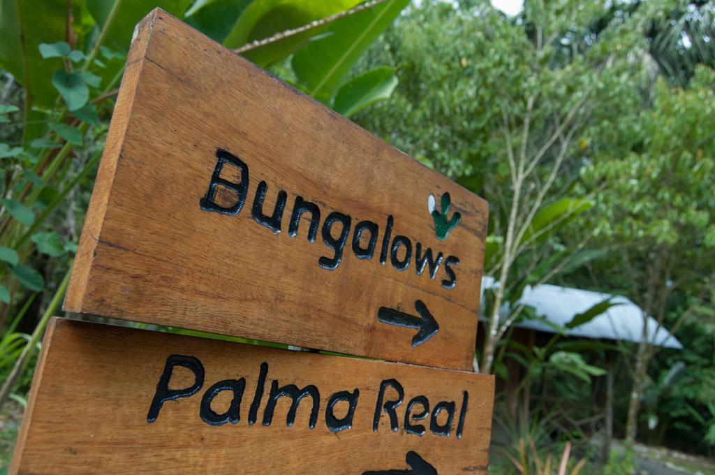 Danta Corcovado Lodge Rincón Esterno foto