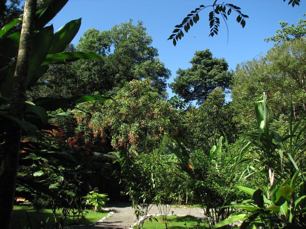 Danta Corcovado Lodge Rincón Esterno foto