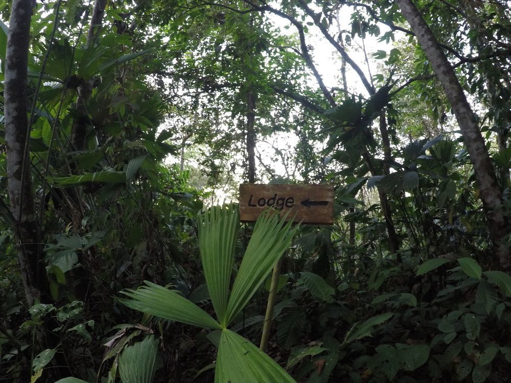 Danta Corcovado Lodge Rincón Esterno foto