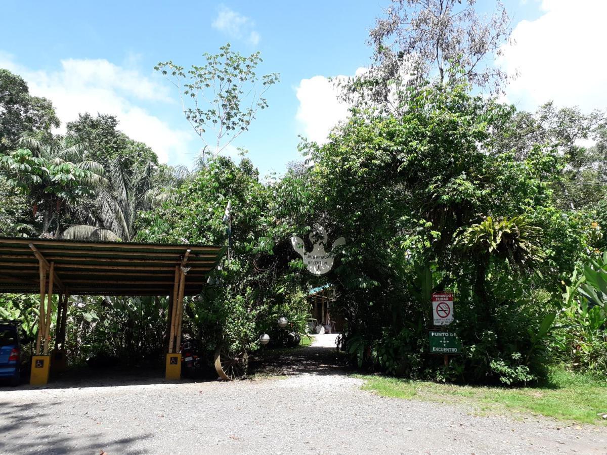 Danta Corcovado Lodge Rincón Esterno foto