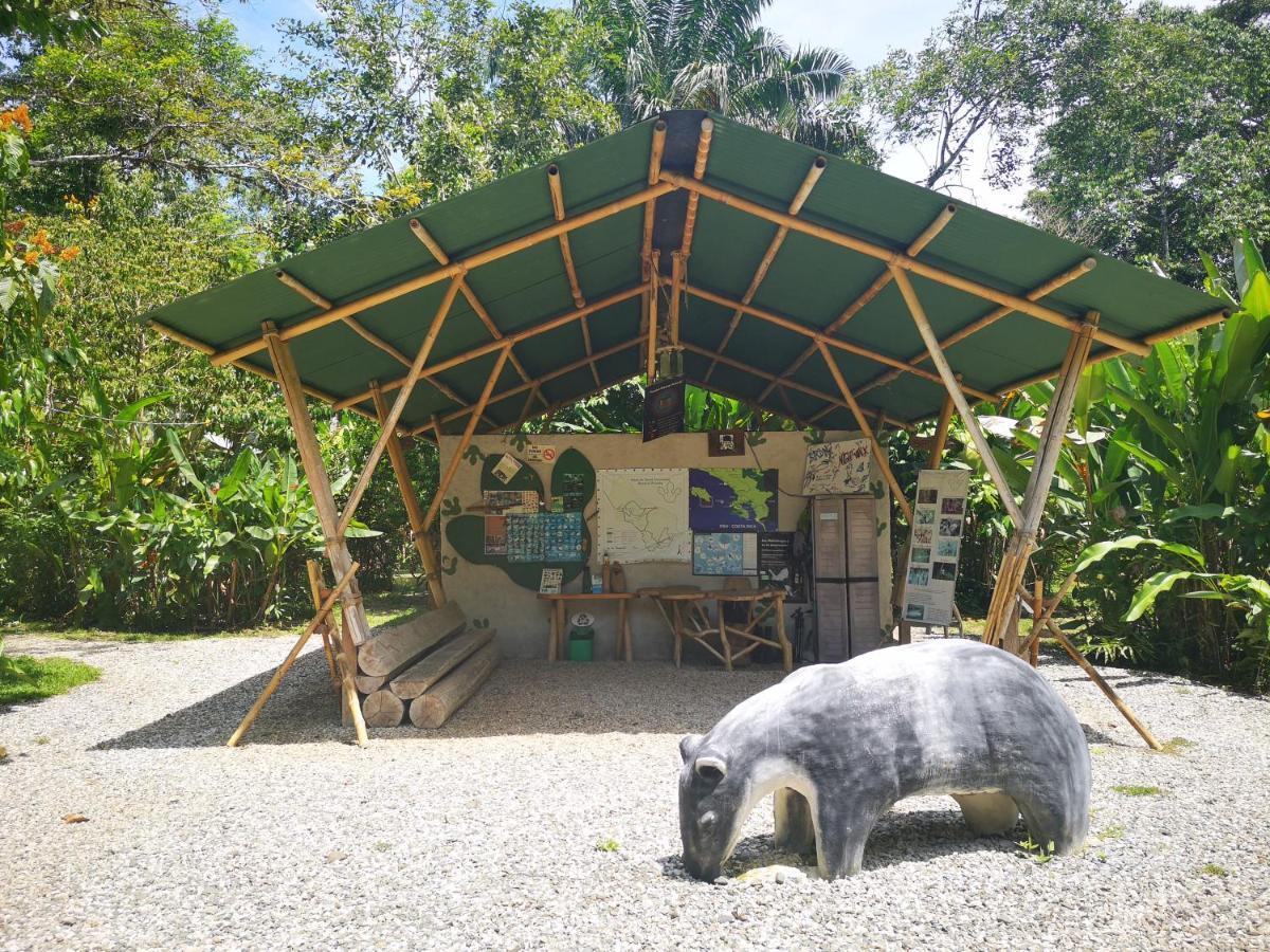 Danta Corcovado Lodge Rincón Esterno foto